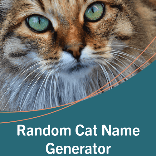 Random Cat Name Generator